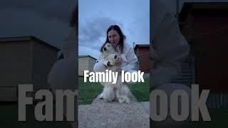 Family look #бордерколли #familylook #собака #домашниеживотные #любовь #преданность #зоопсихолог