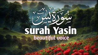 surah Yaseen ki Tilawat ️ Yasin full with Arabic l beautiful recitation 00181// #Tilawat #Quran 