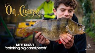 Catching BIG CANAL PERCH with Alfie Russell preview