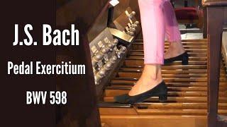 J. S. BACH - Pedal exercitium BWV 598 (Anne-Isabelle de Parcevaux, organ)