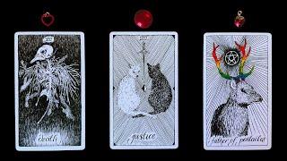 ️️THIS OR THAT ??️️WHAT TO CHOOSE ?? tarot readingpick a cardchannelled messages