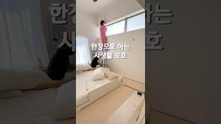 #살림팁 #셀프인테리어#창문가리기#사생활보호#생활꿀팁#인테리어팁