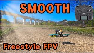 5인치 FPV 드론으로 스무스하게 날려보자!/Flying as smooth as possible with a 5" FPV drone!/Freestyle FPV/@SeewebFPV