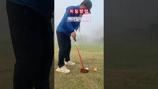 파크골프 퍼팅방법