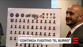 Arrestan a 12 presuntos miembros de ganga de "El Burro"