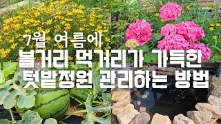 SUB) 7월 여름에 텃밭정원 관리하는 방법 | 주말농장 | 시골정원 | 연못 | 텃밭 | 여름꽃 | 힐링 | vlog | Korean countryside garden