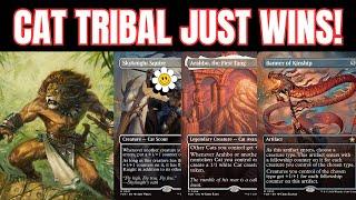 CATS... BROKEN!? - Best Tribal Deck MTG Foundations