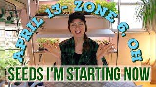 Veg, Herb & Flower Seeds to Sow in April- Zone 6