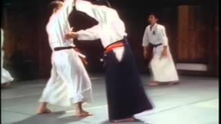 Jigo Tenshin Ryu