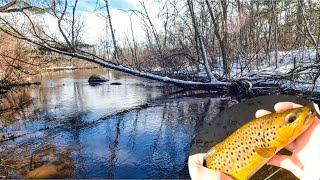 Fly Fishing for Late Winter Trout in Wisconsin | Wisconsin Fishing