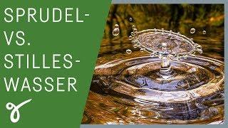 Wasser mit Kohlensäure vs. stilles Wasser - Was ist gesünder? | Gerne Gesund