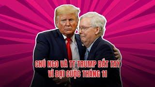 #1767 13JUN24 | CHÚ NGO VÀ TT TRUMP BẮT TAY VÌ ĐẠI CUỘC THÁNG 11!