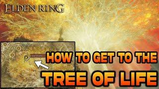 TREE OF LIFE Location in Elden Ring | How to Get to the Tree in the Middle of the Map! Guide