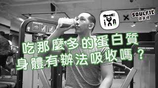 蛋白質吸收上限｜吃那麼多蛋白質有用嗎？