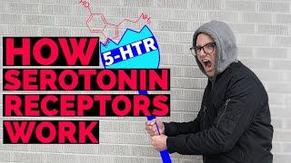 Serotonin Receptors | Types of Serotonin Receptors and Serotonin Receptor Pharmacology