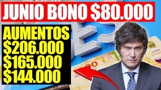 JUNIO con BONO de 80.000 + AUMENTO DE 206.000, 165.000 y 144.000 en JUBILADOS, PNC Y PUAM ANSES