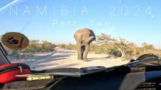 TRAVEL NAMIBIA 2 | 21 days | SCARY ELEPHANT CHASE | Self-Drive 4x4 Road Trip