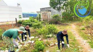 CLEAN UP The Abandoned House In The Town With Overgrown Bushes and Grass, and Lots of Trash.