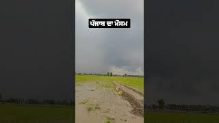 #umeed #shortsviral #punjab #kisan #shortvideos