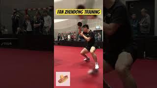 FAN ZHENDONG FOREHAND PERFECTION