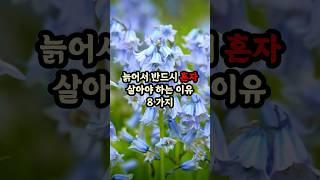 늙어서 반드시 혼자 살아야 하는 이유 8가지 #현실조언 #명언 #삶의지혜 #인생지혜