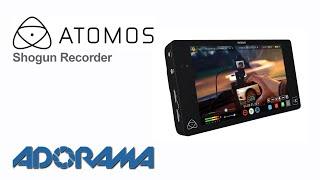 Atomos Shogun: Product Update with Daniel Norton