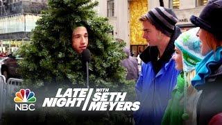 Tree Talk with the Late Night Tree - Late Night with Seth Meyers