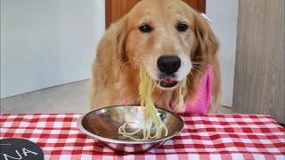 Dog Spaghetti Eating Competition: Who eats faster?