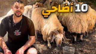 بمناسبة عيد الاضحى وزعنا 10 اضاحي ( مع قارينا ) ️