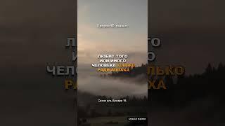 Сладость веры ощутит тот, кто отличается тремя качествами... #hadis #iman #quran #islam
