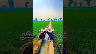 سورۃ الحشر/#shorts #quran #shortsfeed #shortsviral #shortvideo #egzonibrahimi #explore