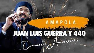 Amapola - Juan Luis Guerra 4.40 (En Vivo desde el Estadio Olímpico, 2005)