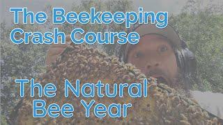 The Natural Bee Year (Spring To Spring) - Biology Part 3 - Beekeeping Crash Course