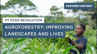 How agroforestry is improving landscapes and lives in Zambia | FT Food Revolution