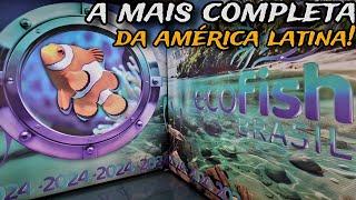 TOUR COMPLETO NA FEIRA DE AQUARISMO MAIS COMPLETA DA AMÉRICA LATINA! - ECOFISH BRASIL 2024