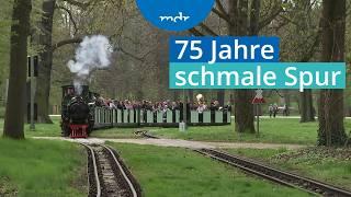 Große Jubiläumssaison: Dresdner Parkeisenbahn startet wieder durch | MDR SACHSENSPIEGEL | MDR