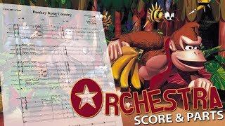 Donkey Kong Country: Symphonic Suite | Orchestral Cover