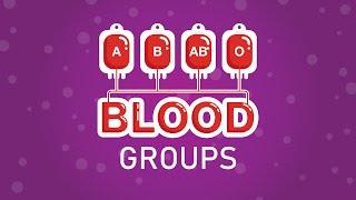 What are blood groups?