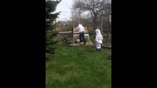 Hiving first package of bees 2014 pt 2