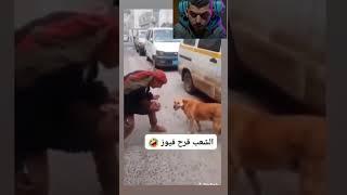 لغة الكلاب هكذا ههههه