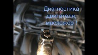 Диагностика двигателя после капиталки спустя 20 000 км. Стук, дым, регулировка поможет ?