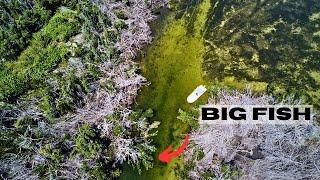 Warm Water Fishing Tactics | Finding Fish Deep in the Bushes