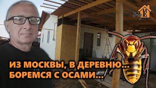 ИЗ МОСКВЫ В ДЕРЕВНЮ - БУДНИ БЕГЛЕЦА. ПРОСТОЙ СПОСОБ ИЗБАВИТСЯ ОТ ОСЫ ОС, ОСА.