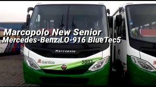 EXCLUSIVO!! | Novos micro ônibus da Viação Piracicabana Santos