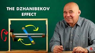 The Dzhanibekov effect