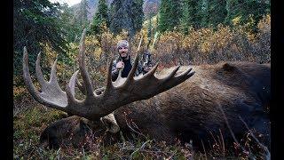 HUGE MOOSE, DALL'S SHEEP, AND MULE DEER! | L2H S09E12  "Traveling Warrior"