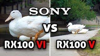 Sony RX100 VI (M6) vs RX100 V (M5) Side-by-Side Comparison! [4K]