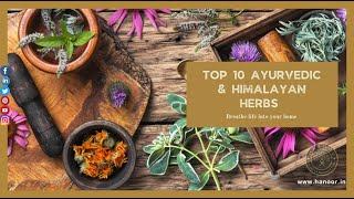 Top 10 Himalayan herbs and Ayurvedic herbs for skin and body | Hanoor