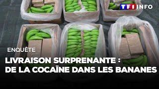 Enquête - Livraison surprenante : de la cocaïne dans les bananes