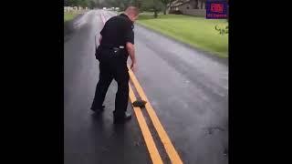 Suspiciously quick turtle escapes police chase